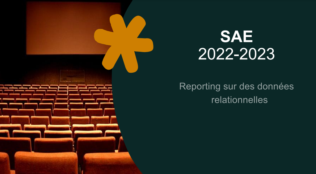 Projet base de donnée relationnelle